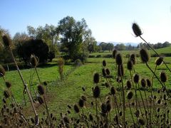 Landschaft in Burgund