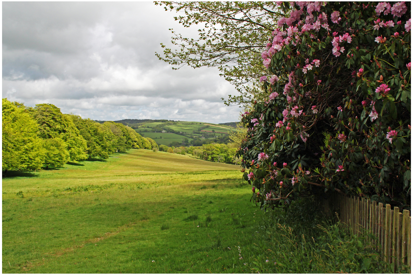 Landschaft in Cornwall