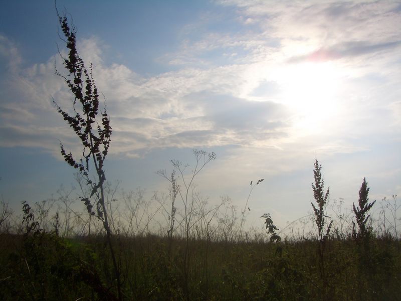 Landschaft in Dänemark