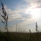 Landschaft in Dänemark