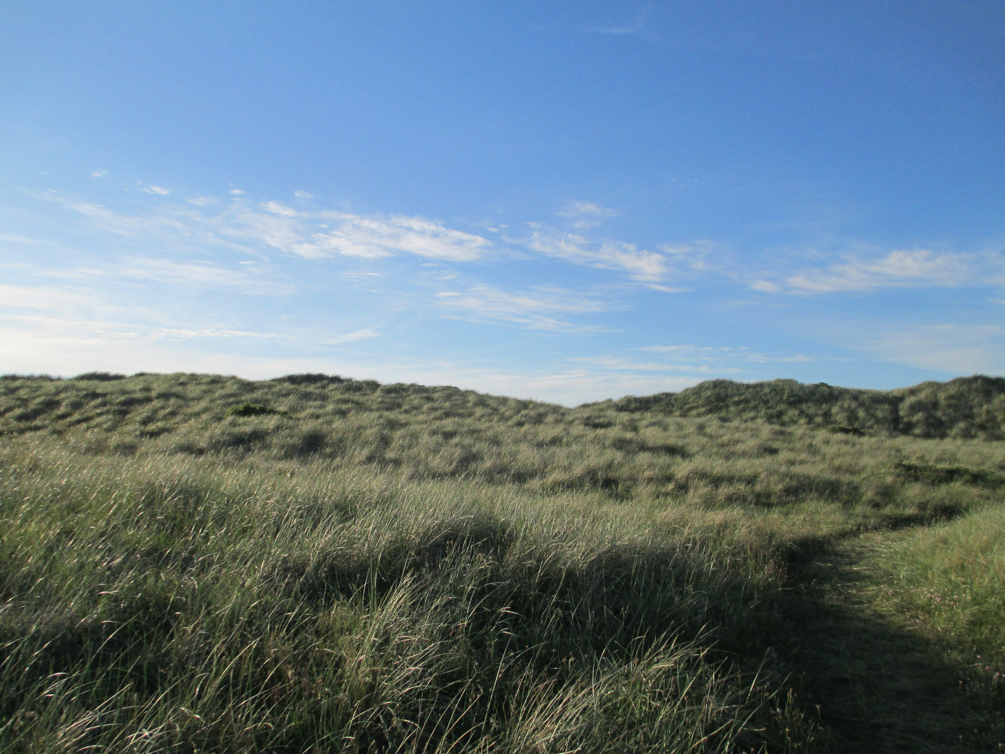 Landschaft in Dänemark