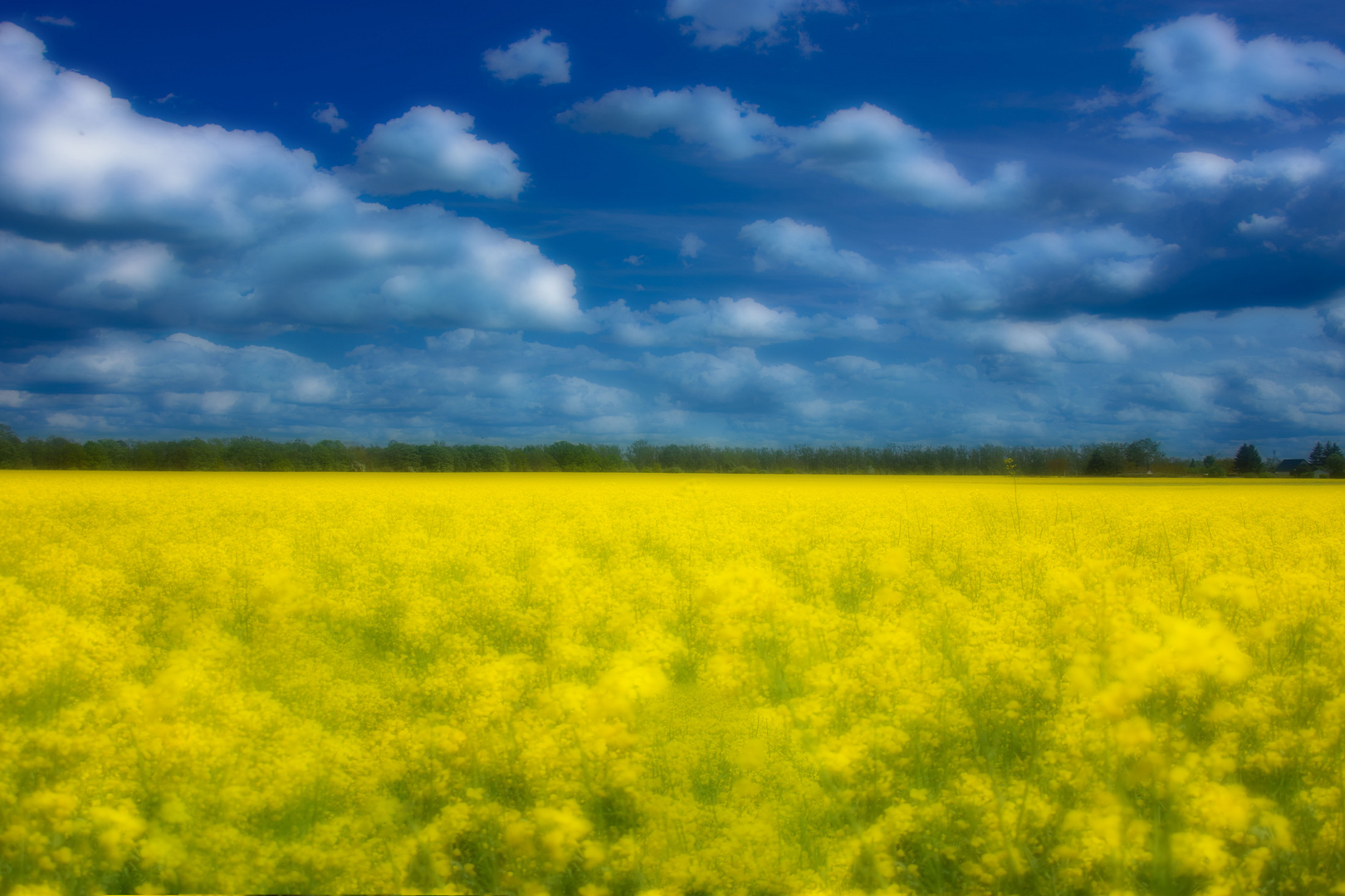 Landschaft in den Farben der Ukraine
