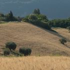 Landschaft In den Marken 2