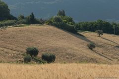 Landschaft In den Marken 2