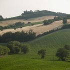 Landschaft In den Marken 7