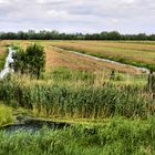 Landschaft in den Niederlanden