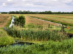 Landschaft in den Niederlanden