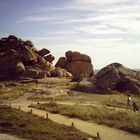 Landschaft in der Bretagne