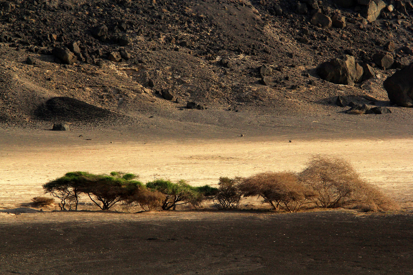 Landschaft in der Danakil-Wüste, Dschibuti