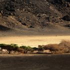 Landschaft in der Danakil-Wüste, Dschibuti