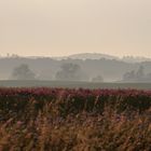 Landschaft in der Kaschubei