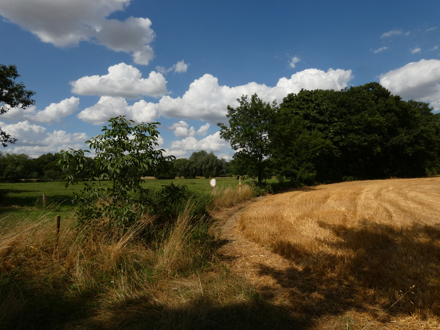 Landschaft in der Lippeaue