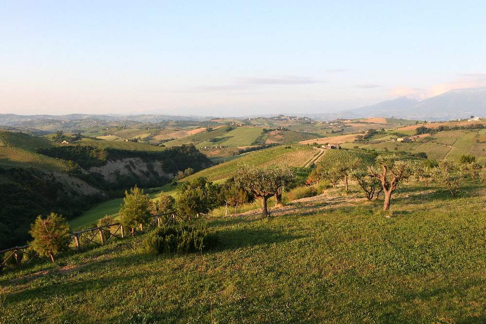 Landschaft in der Marche