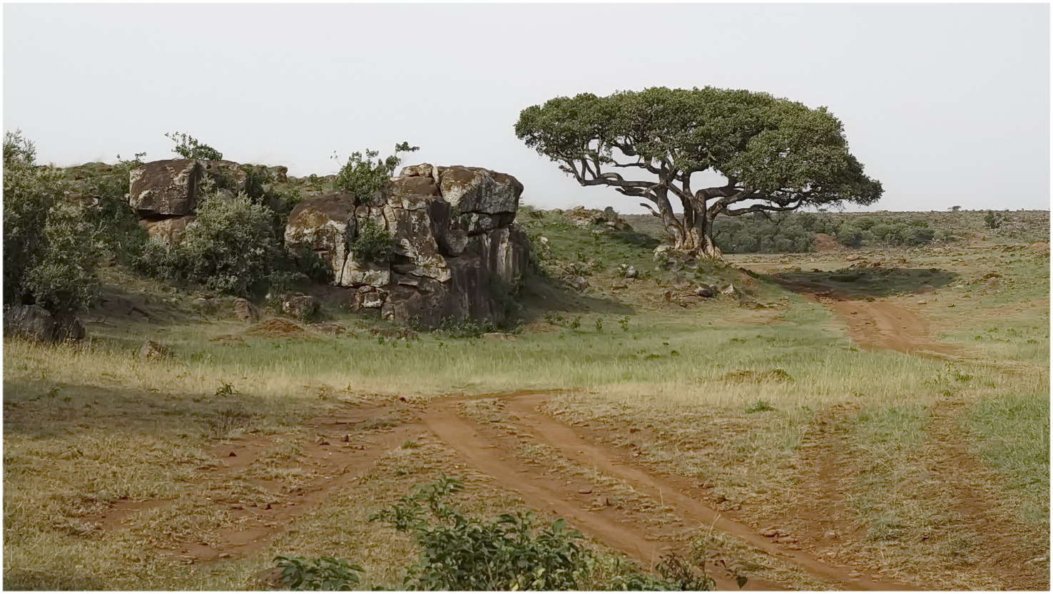 Landschaft in der Masai Mara