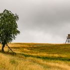 Landschaft in der Nähe vom Kloster Marienhaus