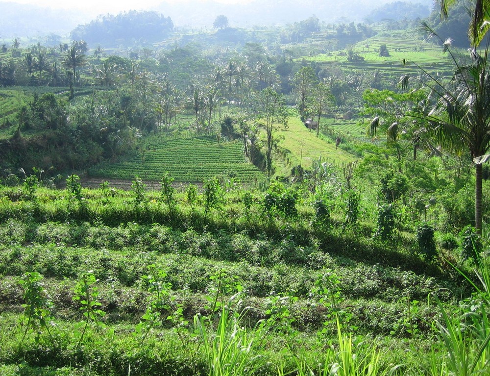 Landschaft in der Nähe von Besakih auf Bali