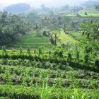 Landschaft in der Nähe von Besakih auf Bali