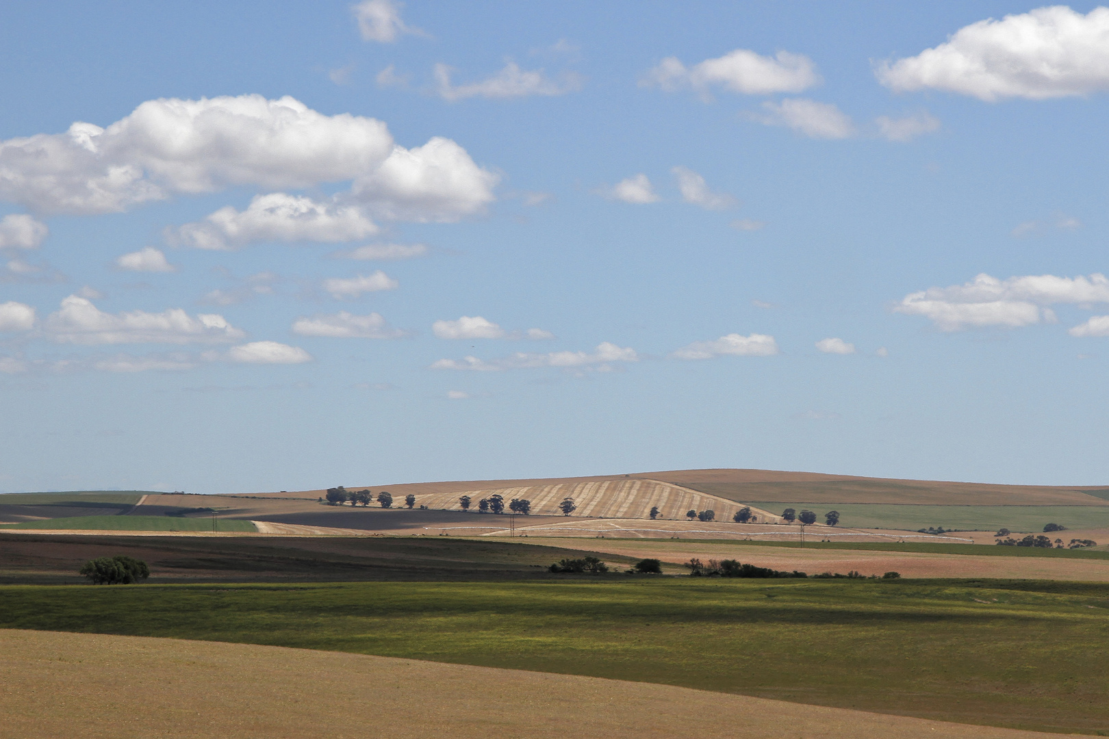 Landschaft in der Nähe von Swellendam, Südafrika