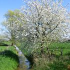 Landschaft in der Niederrheinregion