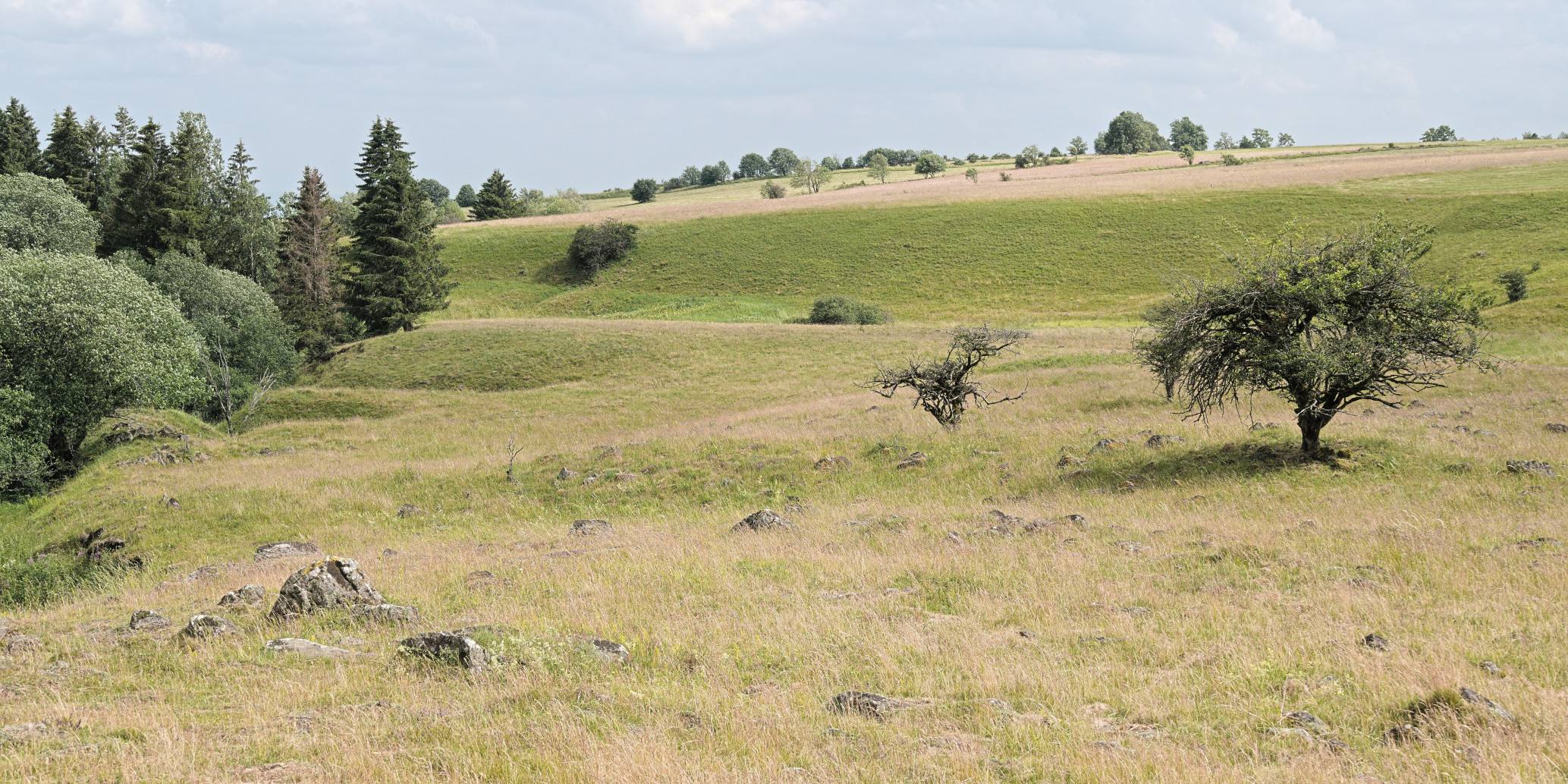 Landschaft in der Rhön