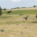 Landschaft in der Rhön