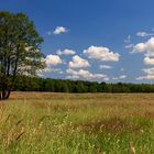 Landschaft in der Schorfheide