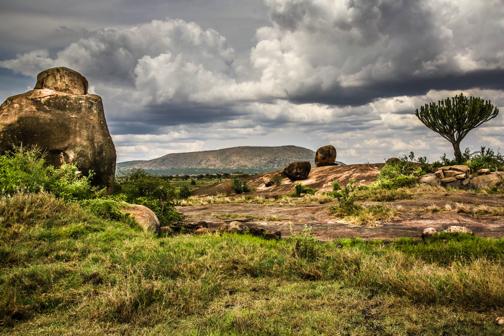 Landschaft in der Serengeti 2