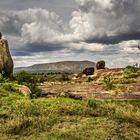 Landschaft in der Serengeti 2