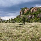 Landschaft in der Serengeti