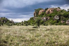 Landschaft in der Serengeti