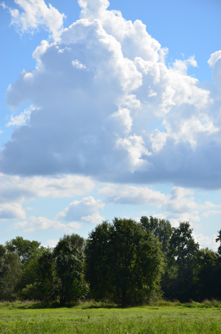 Landschaft in der Südpfalz