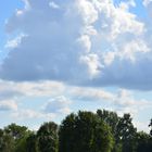 Landschaft in der Südpfalz