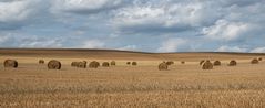 Landschaft in der Thierache