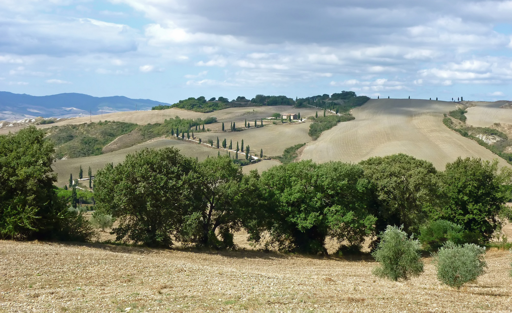 Landschaft in der Toscana