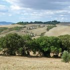 Landschaft in der Toscana