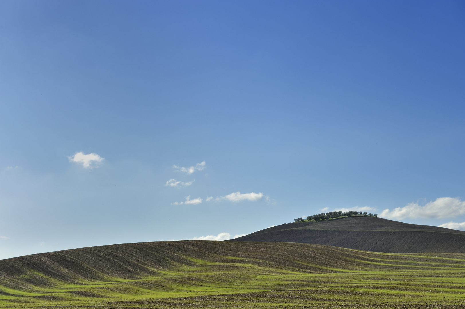 Landschaft in der Toskana (1)