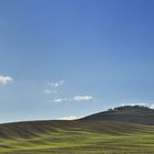 Landschaft in der Toskana (1)