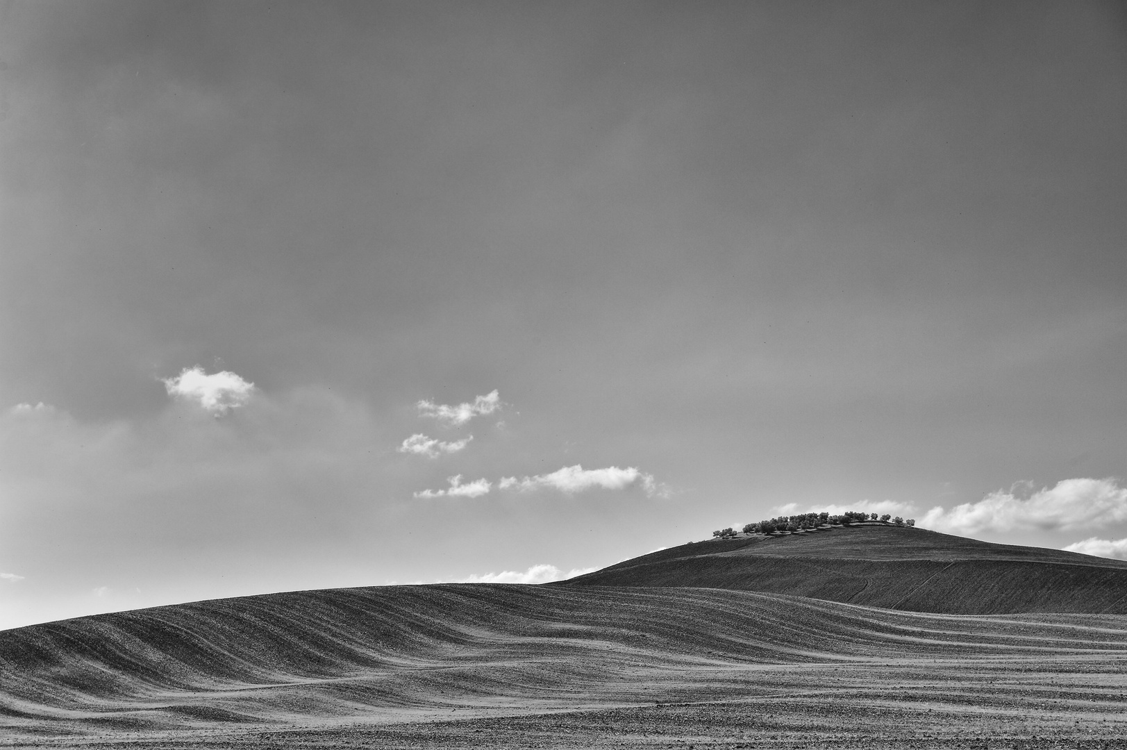 Landschaft in der Toskana (2)