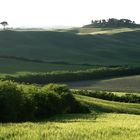 Landschaft in der Toskana