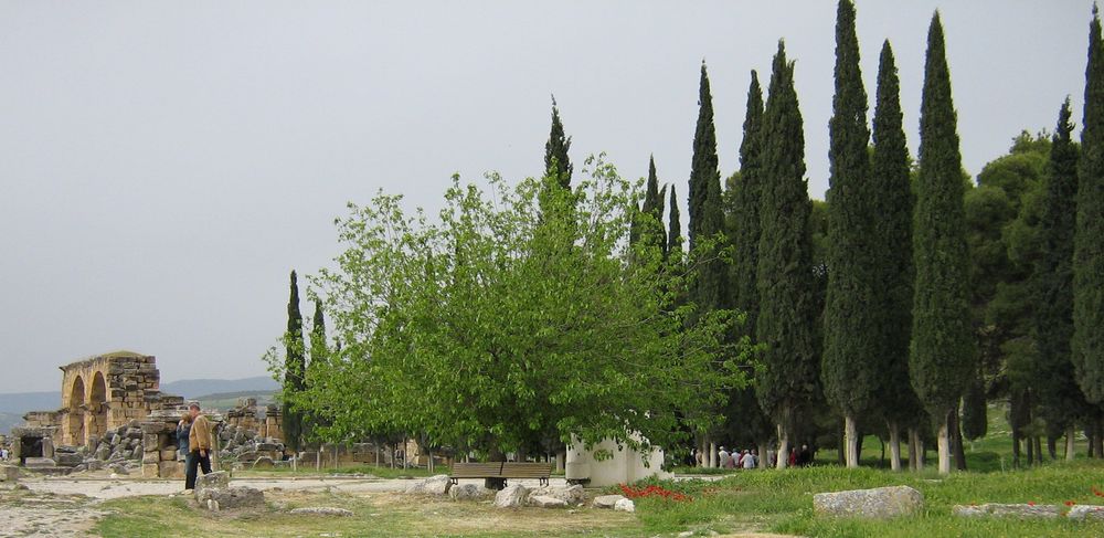 Landschaft in der Türkei