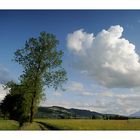 Landschaft in Dietwil II