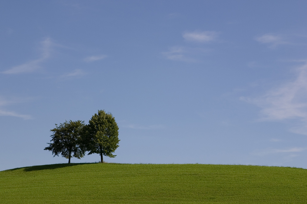 Landschaft in Dübendorf