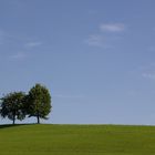 Landschaft in Dübendorf