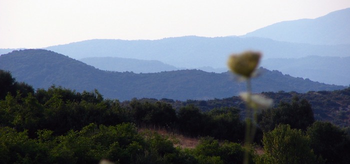 Landschaft in Ebenen