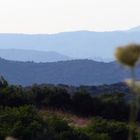 Landschaft in Ebenen