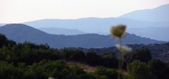 Landschaft in Ebenen