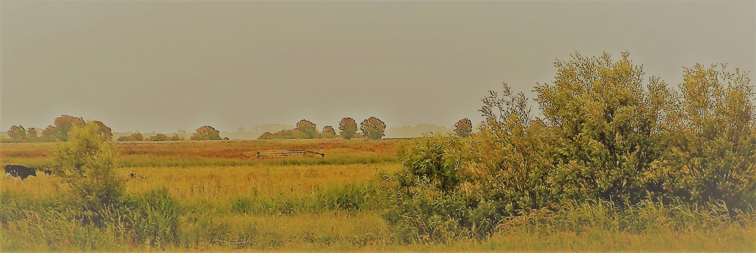 Landschaft in echt oder doch nicht?