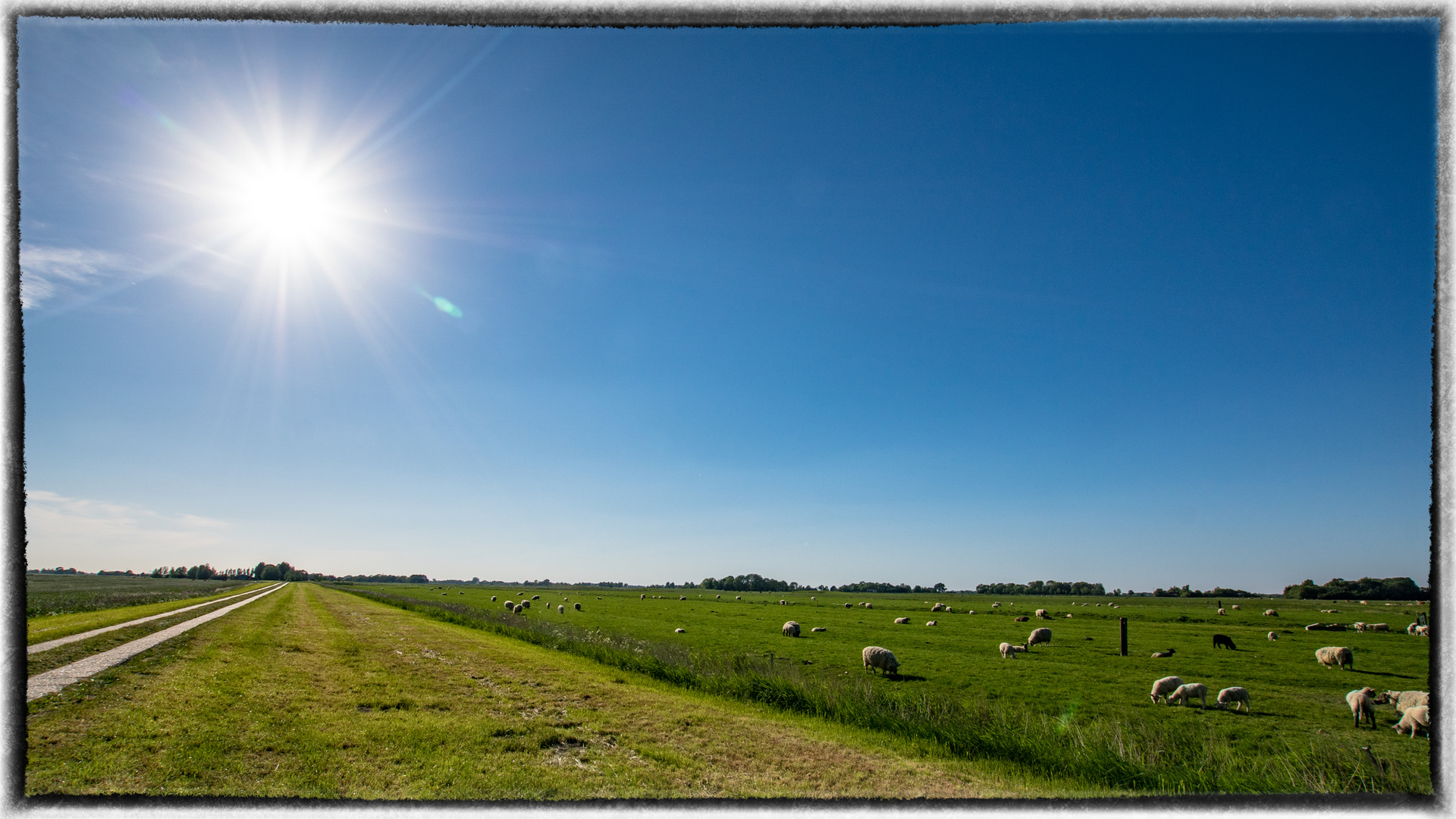 Landschaft in Eiderstedt