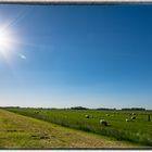 Landschaft in Eiderstedt