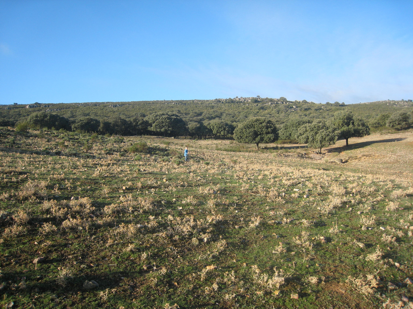 Landschaft in Extremadura